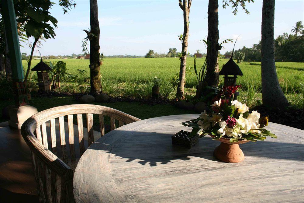 Umasari Rice Terrace Villa Selemadeg Exteriér fotografie